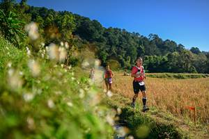 BIB: 
                            <button type="button" onclick="openModal(26571128)" class="btn btn-primary btn-sm float-right btn-popup" data-toggle="modal" data-target=".modal-high-quality">
                        <i class="fas fa-shopping-cart"></i> Add to Cart
                    </button>
                                            <button type="button" onclick="isThisMe(26571128, true)" class="btn btn-success btn-sm float-right btn-popup btn-isme hidden" data-toggle="tooltip" data-placement="bottom" title="นี่คือรูปของคุณใช่ไหม คลิกที่นี่เพื่อเอาเข้าอัลบั้ม">
                        <i class="fas fa-plus"></i> Add to album
                    </button>
                    <button type="button" onclick="isThisMe(26571128, false)" class="btn btn-warning btn-sm float-right btn-popup btn-isnotme hidden">
                        <i class="fas fa-ban"></i> Remove from album
                    </button>