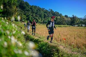 BIB: 
                            <button type="button" onclick="openModal(26576433)" class="btn btn-primary btn-sm float-right btn-popup" data-toggle="modal" data-target=".modal-high-quality">
                        <i class="fas fa-shopping-cart"></i> Add to Cart
                    </button>
                                            <button type="button" onclick="isThisMe(26576433, true)" class="btn btn-success btn-sm float-right btn-popup btn-isme hidden" data-toggle="tooltip" data-placement="bottom" title="นี่คือรูปของคุณใช่ไหม คลิกที่นี่เพื่อเอาเข้าอัลบั้ม">
                        <i class="fas fa-plus"></i> Add to album
                    </button>
                    <button type="button" onclick="isThisMe(26576433, false)" class="btn btn-warning btn-sm float-right btn-popup btn-isnotme hidden">
                        <i class="fas fa-ban"></i> Remove from album
                    </button>