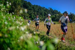 BIB: 
                            <button type="button" onclick="openModal(26581609)" class="btn btn-primary btn-sm float-right btn-popup" data-toggle="modal" data-target=".modal-high-quality">
                        <i class="fas fa-shopping-cart"></i> Add to Cart
                    </button>
                                            <button type="button" onclick="isThisMe(26581609, true)" class="btn btn-success btn-sm float-right btn-popup btn-isme hidden" data-toggle="tooltip" data-placement="bottom" title="นี่คือรูปของคุณใช่ไหม คลิกที่นี่เพื่อเอาเข้าอัลบั้ม">
                        <i class="fas fa-plus"></i> Add to album
                    </button>
                    <button type="button" onclick="isThisMe(26581609, false)" class="btn btn-warning btn-sm float-right btn-popup btn-isnotme hidden">
                        <i class="fas fa-ban"></i> Remove from album
                    </button>