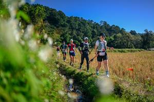 BIB: 
                            <button type="button" onclick="openModal(26572522)" class="btn btn-primary btn-sm float-right btn-popup" data-toggle="modal" data-target=".modal-high-quality">
                        <i class="fas fa-shopping-cart"></i> Add to Cart
                    </button>
                                            <button type="button" onclick="isThisMe(26572522, true)" class="btn btn-success btn-sm float-right btn-popup btn-isme hidden" data-toggle="tooltip" data-placement="bottom" title="นี่คือรูปของคุณใช่ไหม คลิกที่นี่เพื่อเอาเข้าอัลบั้ม">
                        <i class="fas fa-plus"></i> Add to album
                    </button>
                    <button type="button" onclick="isThisMe(26572522, false)" class="btn btn-warning btn-sm float-right btn-popup btn-isnotme hidden">
                        <i class="fas fa-ban"></i> Remove from album
                    </button>