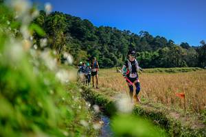 BIB: 
                            <button type="button" onclick="openModal(26574809)" class="btn btn-primary btn-sm float-right btn-popup" data-toggle="modal" data-target=".modal-high-quality">
                        <i class="fas fa-shopping-cart"></i> Add to Cart
                    </button>
                                            <button type="button" onclick="isThisMe(26574809, true)" class="btn btn-success btn-sm float-right btn-popup btn-isme hidden" data-toggle="tooltip" data-placement="bottom" title="นี่คือรูปของคุณใช่ไหม คลิกที่นี่เพื่อเอาเข้าอัลบั้ม">
                        <i class="fas fa-plus"></i> Add to album
                    </button>
                    <button type="button" onclick="isThisMe(26574809, false)" class="btn btn-warning btn-sm float-right btn-popup btn-isnotme hidden">
                        <i class="fas fa-ban"></i> Remove from album
                    </button>