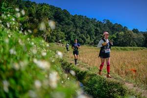 BIB: 
                            <button type="button" onclick="openModal(26583043)" class="btn btn-primary btn-sm float-right btn-popup" data-toggle="modal" data-target=".modal-high-quality">
                        <i class="fas fa-shopping-cart"></i> Add to Cart
                    </button>
                                            <button type="button" onclick="isThisMe(26583043, true)" class="btn btn-success btn-sm float-right btn-popup btn-isme hidden" data-toggle="tooltip" data-placement="bottom" title="นี่คือรูปของคุณใช่ไหม คลิกที่นี่เพื่อเอาเข้าอัลบั้ม">
                        <i class="fas fa-plus"></i> Add to album
                    </button>
                    <button type="button" onclick="isThisMe(26583043, false)" class="btn btn-warning btn-sm float-right btn-popup btn-isnotme hidden">
                        <i class="fas fa-ban"></i> Remove from album
                    </button>