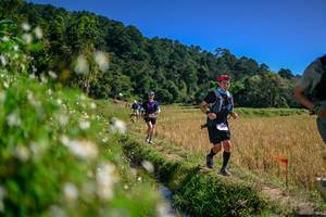 BIB: 
                            <button type="button" onclick="openModal(26582915)" class="btn btn-primary btn-sm float-right btn-popup" data-toggle="modal" data-target=".modal-high-quality">
                        <i class="fas fa-shopping-cart"></i> Add to Cart
                    </button>
                                            <button type="button" onclick="isThisMe(26582915, true)" class="btn btn-success btn-sm float-right btn-popup btn-isme hidden" data-toggle="tooltip" data-placement="bottom" title="นี่คือรูปของคุณใช่ไหม คลิกที่นี่เพื่อเอาเข้าอัลบั้ม">
                        <i class="fas fa-plus"></i> Add to album
                    </button>
                    <button type="button" onclick="isThisMe(26582915, false)" class="btn btn-warning btn-sm float-right btn-popup btn-isnotme hidden">
                        <i class="fas fa-ban"></i> Remove from album
                    </button>