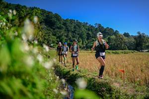 BIB: 
                            <button type="button" onclick="openModal(26575538)" class="btn btn-primary btn-sm float-right btn-popup" data-toggle="modal" data-target=".modal-high-quality">
                        <i class="fas fa-shopping-cart"></i> Add to Cart
                    </button>
                                            <button type="button" onclick="isThisMe(26575538, true)" class="btn btn-success btn-sm float-right btn-popup btn-isme hidden" data-toggle="tooltip" data-placement="bottom" title="นี่คือรูปของคุณใช่ไหม คลิกที่นี่เพื่อเอาเข้าอัลบั้ม">
                        <i class="fas fa-plus"></i> Add to album
                    </button>
                    <button type="button" onclick="isThisMe(26575538, false)" class="btn btn-warning btn-sm float-right btn-popup btn-isnotme hidden">
                        <i class="fas fa-ban"></i> Remove from album
                    </button>