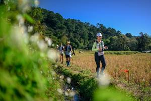 BIB: 
                            <button type="button" onclick="openModal(26574291)" class="btn btn-primary btn-sm float-right btn-popup" data-toggle="modal" data-target=".modal-high-quality">
                        <i class="fas fa-shopping-cart"></i> Add to Cart
                    </button>
                                            <button type="button" onclick="isThisMe(26574291, true)" class="btn btn-success btn-sm float-right btn-popup btn-isme hidden" data-toggle="tooltip" data-placement="bottom" title="นี่คือรูปของคุณใช่ไหม คลิกที่นี่เพื่อเอาเข้าอัลบั้ม">
                        <i class="fas fa-plus"></i> Add to album
                    </button>
                    <button type="button" onclick="isThisMe(26574291, false)" class="btn btn-warning btn-sm float-right btn-popup btn-isnotme hidden">
                        <i class="fas fa-ban"></i> Remove from album
                    </button>