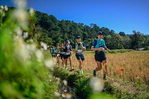 BIB: 
                            <button type="button" onclick="openModal(26575148)" class="btn btn-primary btn-sm float-right btn-popup" data-toggle="modal" data-target=".modal-high-quality">
                        <i class="fas fa-shopping-cart"></i> Add to Cart
                    </button>
                                            <button type="button" onclick="isThisMe(26575148, true)" class="btn btn-success btn-sm float-right btn-popup btn-isme hidden" data-toggle="tooltip" data-placement="bottom" title="นี่คือรูปของคุณใช่ไหม คลิกที่นี่เพื่อเอาเข้าอัลบั้ม">
                        <i class="fas fa-plus"></i> Add to album
                    </button>
                    <button type="button" onclick="isThisMe(26575148, false)" class="btn btn-warning btn-sm float-right btn-popup btn-isnotme hidden">
                        <i class="fas fa-ban"></i> Remove from album
                    </button>