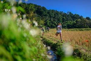 BIB: 
                            <button type="button" onclick="openModal(26573741)" class="btn btn-primary btn-sm float-right btn-popup" data-toggle="modal" data-target=".modal-high-quality">
                        <i class="fas fa-shopping-cart"></i> Add to Cart
                    </button>
                                            <button type="button" onclick="isThisMe(26573741, true)" class="btn btn-success btn-sm float-right btn-popup btn-isme hidden" data-toggle="tooltip" data-placement="bottom" title="นี่คือรูปของคุณใช่ไหม คลิกที่นี่เพื่อเอาเข้าอัลบั้ม">
                        <i class="fas fa-plus"></i> Add to album
                    </button>
                    <button type="button" onclick="isThisMe(26573741, false)" class="btn btn-warning btn-sm float-right btn-popup btn-isnotme hidden">
                        <i class="fas fa-ban"></i> Remove from album
                    </button>