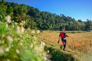 BIB: 
                            <button type="button" onclick="openModal(26570980)" class="btn btn-primary btn-sm float-right btn-popup" data-toggle="modal" data-target=".modal-high-quality">
                        <i class="fas fa-shopping-cart"></i> Add to Cart
                    </button>
                                            <button type="button" onclick="isThisMe(26570980, true)" class="btn btn-success btn-sm float-right btn-popup btn-isme hidden" data-toggle="tooltip" data-placement="bottom" title="นี่คือรูปของคุณใช่ไหม คลิกที่นี่เพื่อเอาเข้าอัลบั้ม">
                        <i class="fas fa-plus"></i> Add to album
                    </button>
                    <button type="button" onclick="isThisMe(26570980, false)" class="btn btn-warning btn-sm float-right btn-popup btn-isnotme hidden">
                        <i class="fas fa-ban"></i> Remove from album
                    </button>