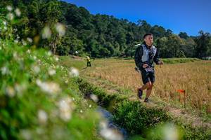 BIB: 
                            <button type="button" onclick="openModal(26582549)" class="btn btn-primary btn-sm float-right btn-popup" data-toggle="modal" data-target=".modal-high-quality">
                        <i class="fas fa-shopping-cart"></i> Add to Cart
                    </button>
                                            <button type="button" onclick="isThisMe(26582549, true)" class="btn btn-success btn-sm float-right btn-popup btn-isme hidden" data-toggle="tooltip" data-placement="bottom" title="นี่คือรูปของคุณใช่ไหม คลิกที่นี่เพื่อเอาเข้าอัลบั้ม">
                        <i class="fas fa-plus"></i> Add to album
                    </button>
                    <button type="button" onclick="isThisMe(26582549, false)" class="btn btn-warning btn-sm float-right btn-popup btn-isnotme hidden">
                        <i class="fas fa-ban"></i> Remove from album
                    </button>