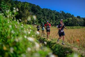 BIB: 
                            <button type="button" onclick="openModal(26582229)" class="btn btn-primary btn-sm float-right btn-popup" data-toggle="modal" data-target=".modal-high-quality">
                        <i class="fas fa-shopping-cart"></i> Add to Cart
                    </button>
                                            <button type="button" onclick="isThisMe(26582229, true)" class="btn btn-success btn-sm float-right btn-popup btn-isme hidden" data-toggle="tooltip" data-placement="bottom" title="นี่คือรูปของคุณใช่ไหม คลิกที่นี่เพื่อเอาเข้าอัลบั้ม">
                        <i class="fas fa-plus"></i> Add to album
                    </button>
                    <button type="button" onclick="isThisMe(26582229, false)" class="btn btn-warning btn-sm float-right btn-popup btn-isnotme hidden">
                        <i class="fas fa-ban"></i> Remove from album
                    </button>