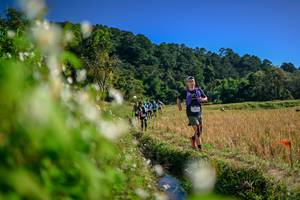 BIB: 
                            <button type="button" onclick="openModal(26574792)" class="btn btn-primary btn-sm float-right btn-popup" data-toggle="modal" data-target=".modal-high-quality">
                        <i class="fas fa-shopping-cart"></i> Add to Cart
                    </button>
                                            <button type="button" onclick="isThisMe(26574792, true)" class="btn btn-success btn-sm float-right btn-popup btn-isme hidden" data-toggle="tooltip" data-placement="bottom" title="นี่คือรูปของคุณใช่ไหม คลิกที่นี่เพื่อเอาเข้าอัลบั้ม">
                        <i class="fas fa-plus"></i> Add to album
                    </button>
                    <button type="button" onclick="isThisMe(26574792, false)" class="btn btn-warning btn-sm float-right btn-popup btn-isnotme hidden">
                        <i class="fas fa-ban"></i> Remove from album
                    </button>