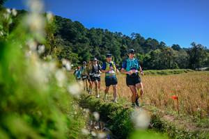 BIB: 
                            <button type="button" onclick="openModal(26575143)" class="btn btn-primary btn-sm float-right btn-popup" data-toggle="modal" data-target=".modal-high-quality">
                        <i class="fas fa-shopping-cart"></i> Add to Cart
                    </button>
                                            <button type="button" onclick="isThisMe(26575143, true)" class="btn btn-success btn-sm float-right btn-popup btn-isme hidden" data-toggle="tooltip" data-placement="bottom" title="นี่คือรูปของคุณใช่ไหม คลิกที่นี่เพื่อเอาเข้าอัลบั้ม">
                        <i class="fas fa-plus"></i> Add to album
                    </button>
                    <button type="button" onclick="isThisMe(26575143, false)" class="btn btn-warning btn-sm float-right btn-popup btn-isnotme hidden">
                        <i class="fas fa-ban"></i> Remove from album
                    </button>