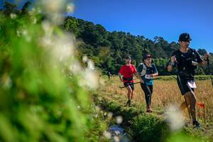 BIB: 
                            <button type="button" onclick="openModal(26572406)" class="btn btn-primary btn-sm float-right btn-popup" data-toggle="modal" data-target=".modal-high-quality">
                        <i class="fas fa-shopping-cart"></i> Add to Cart
                    </button>
                                            <button type="button" onclick="isThisMe(26572406, true)" class="btn btn-success btn-sm float-right btn-popup btn-isme hidden" data-toggle="tooltip" data-placement="bottom" title="นี่คือรูปของคุณใช่ไหม คลิกที่นี่เพื่อเอาเข้าอัลบั้ม">
                        <i class="fas fa-plus"></i> Add to album
                    </button>
                    <button type="button" onclick="isThisMe(26572406, false)" class="btn btn-warning btn-sm float-right btn-popup btn-isnotme hidden">
                        <i class="fas fa-ban"></i> Remove from album
                    </button>