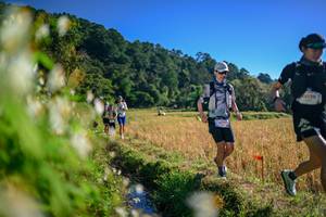 BIB: 
                            <button type="button" onclick="openModal(26571610)" class="btn btn-primary btn-sm float-right btn-popup" data-toggle="modal" data-target=".modal-high-quality">
                        <i class="fas fa-shopping-cart"></i> Add to Cart
                    </button>
                                            <button type="button" onclick="isThisMe(26571610, true)" class="btn btn-success btn-sm float-right btn-popup btn-isme hidden" data-toggle="tooltip" data-placement="bottom" title="นี่คือรูปของคุณใช่ไหม คลิกที่นี่เพื่อเอาเข้าอัลบั้ม">
                        <i class="fas fa-plus"></i> Add to album
                    </button>
                    <button type="button" onclick="isThisMe(26571610, false)" class="btn btn-warning btn-sm float-right btn-popup btn-isnotme hidden">
                        <i class="fas fa-ban"></i> Remove from album
                    </button>