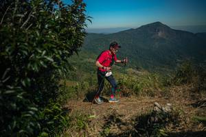 BIB: 
                            <button type="button" onclick="openModal(26594499)" class="btn btn-primary btn-sm float-right btn-popup" data-toggle="modal" data-target=".modal-high-quality">
                        <i class="fas fa-shopping-cart"></i> Add to Cart
                    </button>
                                            <button type="button" onclick="isThisMe(26594499, true)" class="btn btn-success btn-sm float-right btn-popup btn-isme hidden" data-toggle="tooltip" data-placement="bottom" title="นี่คือรูปของคุณใช่ไหม คลิกที่นี่เพื่อเอาเข้าอัลบั้ม">
                        <i class="fas fa-plus"></i> Add to album
                    </button>
                    <button type="button" onclick="isThisMe(26594499, false)" class="btn btn-warning btn-sm float-right btn-popup btn-isnotme hidden">
                        <i class="fas fa-ban"></i> Remove from album
                    </button>