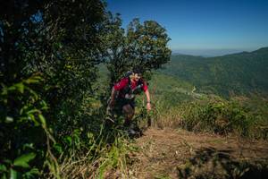 BIB: 
                            <button type="button" onclick="openModal(26595943)" class="btn btn-primary btn-sm float-right btn-popup" data-toggle="modal" data-target=".modal-high-quality">
                        <i class="fas fa-shopping-cart"></i> Add to Cart
                    </button>
                                            <button type="button" onclick="isThisMe(26595943, true)" class="btn btn-success btn-sm float-right btn-popup btn-isme hidden" data-toggle="tooltip" data-placement="bottom" title="นี่คือรูปของคุณใช่ไหม คลิกที่นี่เพื่อเอาเข้าอัลบั้ม">
                        <i class="fas fa-plus"></i> Add to album
                    </button>
                    <button type="button" onclick="isThisMe(26595943, false)" class="btn btn-warning btn-sm float-right btn-popup btn-isnotme hidden">
                        <i class="fas fa-ban"></i> Remove from album
                    </button>