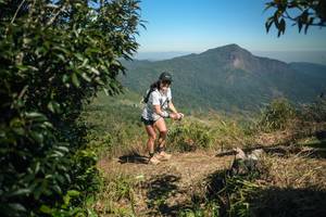 BIB: 
                            <button type="button" onclick="openModal(26594186)" class="btn btn-primary btn-sm float-right btn-popup" data-toggle="modal" data-target=".modal-high-quality">
                        <i class="fas fa-shopping-cart"></i> Add to Cart
                    </button>
                                            <button type="button" onclick="isThisMe(26594186, true)" class="btn btn-success btn-sm float-right btn-popup btn-isme hidden" data-toggle="tooltip" data-placement="bottom" title="นี่คือรูปของคุณใช่ไหม คลิกที่นี่เพื่อเอาเข้าอัลบั้ม">
                        <i class="fas fa-plus"></i> Add to album
                    </button>
                    <button type="button" onclick="isThisMe(26594186, false)" class="btn btn-warning btn-sm float-right btn-popup btn-isnotme hidden">
                        <i class="fas fa-ban"></i> Remove from album
                    </button>