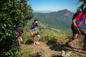 BIB: 
                            <button type="button" onclick="openModal(26593550)" class="btn btn-primary btn-sm float-right btn-popup" data-toggle="modal" data-target=".modal-high-quality">
                        <i class="fas fa-shopping-cart"></i> Add to Cart
                    </button>
                                            <button type="button" onclick="isThisMe(26593550, true)" class="btn btn-success btn-sm float-right btn-popup btn-isme hidden" data-toggle="tooltip" data-placement="bottom" title="นี่คือรูปของคุณใช่ไหม คลิกที่นี่เพื่อเอาเข้าอัลบั้ม">
                        <i class="fas fa-plus"></i> Add to album
                    </button>
                    <button type="button" onclick="isThisMe(26593550, false)" class="btn btn-warning btn-sm float-right btn-popup btn-isnotme hidden">
                        <i class="fas fa-ban"></i> Remove from album
                    </button>