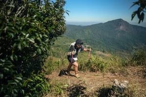 BIB: 
                            <button type="button" onclick="openModal(26593996)" class="btn btn-primary btn-sm float-right btn-popup" data-toggle="modal" data-target=".modal-high-quality">
                        <i class="fas fa-shopping-cart"></i> Add to Cart
                    </button>
                                            <button type="button" onclick="isThisMe(26593996, true)" class="btn btn-success btn-sm float-right btn-popup btn-isme hidden" data-toggle="tooltip" data-placement="bottom" title="นี่คือรูปของคุณใช่ไหม คลิกที่นี่เพื่อเอาเข้าอัลบั้ม">
                        <i class="fas fa-plus"></i> Add to album
                    </button>
                    <button type="button" onclick="isThisMe(26593996, false)" class="btn btn-warning btn-sm float-right btn-popup btn-isnotme hidden">
                        <i class="fas fa-ban"></i> Remove from album
                    </button>