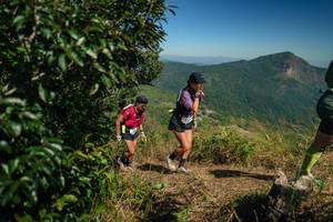 BIB: 
                            <button type="button" onclick="openModal(26593136)" class="btn btn-primary btn-sm float-right btn-popup" data-toggle="modal" data-target=".modal-high-quality">
                        <i class="fas fa-shopping-cart"></i> Add to Cart
                    </button>
                                            <button type="button" onclick="isThisMe(26593136, true)" class="btn btn-success btn-sm float-right btn-popup btn-isme hidden" data-toggle="tooltip" data-placement="bottom" title="นี่คือรูปของคุณใช่ไหม คลิกที่นี่เพื่อเอาเข้าอัลบั้ม">
                        <i class="fas fa-plus"></i> Add to album
                    </button>
                    <button type="button" onclick="isThisMe(26593136, false)" class="btn btn-warning btn-sm float-right btn-popup btn-isnotme hidden">
                        <i class="fas fa-ban"></i> Remove from album
                    </button>