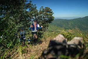 BIB: 
                            <button type="button" onclick="openModal(26596283)" class="btn btn-primary btn-sm float-right btn-popup" data-toggle="modal" data-target=".modal-high-quality">
                        <i class="fas fa-shopping-cart"></i> Add to Cart
                    </button>
                                            <button type="button" onclick="isThisMe(26596283, true)" class="btn btn-success btn-sm float-right btn-popup btn-isme hidden" data-toggle="tooltip" data-placement="bottom" title="นี่คือรูปของคุณใช่ไหม คลิกที่นี่เพื่อเอาเข้าอัลบั้ม">
                        <i class="fas fa-plus"></i> Add to album
                    </button>
                    <button type="button" onclick="isThisMe(26596283, false)" class="btn btn-warning btn-sm float-right btn-popup btn-isnotme hidden">
                        <i class="fas fa-ban"></i> Remove from album
                    </button>