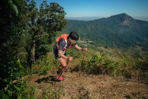 BIB: 
                            <button type="button" onclick="openModal(26591540)" class="btn btn-primary btn-sm float-right btn-popup" data-toggle="modal" data-target=".modal-high-quality">
                        <i class="fas fa-shopping-cart"></i> Add to Cart
                    </button>
                                            <button type="button" onclick="isThisMe(26591540, true)" class="btn btn-success btn-sm float-right btn-popup btn-isme hidden" data-toggle="tooltip" data-placement="bottom" title="นี่คือรูปของคุณใช่ไหม คลิกที่นี่เพื่อเอาเข้าอัลบั้ม">
                        <i class="fas fa-plus"></i> Add to album
                    </button>
                    <button type="button" onclick="isThisMe(26591540, false)" class="btn btn-warning btn-sm float-right btn-popup btn-isnotme hidden">
                        <i class="fas fa-ban"></i> Remove from album
                    </button>