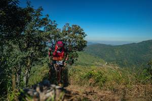 BIB: 
                            <button type="button" onclick="openModal(26597951)" class="btn btn-primary btn-sm float-right btn-popup" data-toggle="modal" data-target=".modal-high-quality">
                        <i class="fas fa-shopping-cart"></i> Add to Cart
                    </button>
                                            <button type="button" onclick="isThisMe(26597951, true)" class="btn btn-success btn-sm float-right btn-popup btn-isme hidden" data-toggle="tooltip" data-placement="bottom" title="นี่คือรูปของคุณใช่ไหม คลิกที่นี่เพื่อเอาเข้าอัลบั้ม">
                        <i class="fas fa-plus"></i> Add to album
                    </button>
                    <button type="button" onclick="isThisMe(26597951, false)" class="btn btn-warning btn-sm float-right btn-popup btn-isnotme hidden">
                        <i class="fas fa-ban"></i> Remove from album
                    </button>