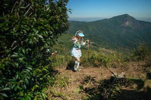 BIB: 
                            <button type="button" onclick="openModal(26595038)" class="btn btn-primary btn-sm float-right btn-popup" data-toggle="modal" data-target=".modal-high-quality">
                        <i class="fas fa-shopping-cart"></i> Add to Cart
                    </button>
                                            <button type="button" onclick="isThisMe(26595038, true)" class="btn btn-success btn-sm float-right btn-popup btn-isme hidden" data-toggle="tooltip" data-placement="bottom" title="นี่คือรูปของคุณใช่ไหม คลิกที่นี่เพื่อเอาเข้าอัลบั้ม">
                        <i class="fas fa-plus"></i> Add to album
                    </button>
                    <button type="button" onclick="isThisMe(26595038, false)" class="btn btn-warning btn-sm float-right btn-popup btn-isnotme hidden">
                        <i class="fas fa-ban"></i> Remove from album
                    </button>