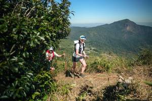 BIB: 
                            <button type="button" onclick="openModal(26594231)" class="btn btn-primary btn-sm float-right btn-popup" data-toggle="modal" data-target=".modal-high-quality">
                        <i class="fas fa-shopping-cart"></i> Add to Cart
                    </button>
                                            <button type="button" onclick="isThisMe(26594231, true)" class="btn btn-success btn-sm float-right btn-popup btn-isme hidden" data-toggle="tooltip" data-placement="bottom" title="นี่คือรูปของคุณใช่ไหม คลิกที่นี่เพื่อเอาเข้าอัลบั้ม">
                        <i class="fas fa-plus"></i> Add to album
                    </button>
                    <button type="button" onclick="isThisMe(26594231, false)" class="btn btn-warning btn-sm float-right btn-popup btn-isnotme hidden">
                        <i class="fas fa-ban"></i> Remove from album
                    </button>