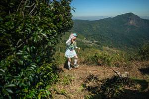 BIB: 
                            <button type="button" onclick="openModal(26595037)" class="btn btn-primary btn-sm float-right btn-popup" data-toggle="modal" data-target=".modal-high-quality">
                        <i class="fas fa-shopping-cart"></i> Add to Cart
                    </button>
                                            <button type="button" onclick="isThisMe(26595037, true)" class="btn btn-success btn-sm float-right btn-popup btn-isme hidden" data-toggle="tooltip" data-placement="bottom" title="นี่คือรูปของคุณใช่ไหม คลิกที่นี่เพื่อเอาเข้าอัลบั้ม">
                        <i class="fas fa-plus"></i> Add to album
                    </button>
                    <button type="button" onclick="isThisMe(26595037, false)" class="btn btn-warning btn-sm float-right btn-popup btn-isnotme hidden">
                        <i class="fas fa-ban"></i> Remove from album
                    </button>