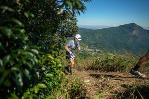 BIB: 
                            <button type="button" onclick="openModal(26592516)" class="btn btn-primary btn-sm float-right btn-popup" data-toggle="modal" data-target=".modal-high-quality">
                        <i class="fas fa-shopping-cart"></i> Add to Cart
                    </button>
                                            <button type="button" onclick="isThisMe(26592516, true)" class="btn btn-success btn-sm float-right btn-popup btn-isme hidden" data-toggle="tooltip" data-placement="bottom" title="นี่คือรูปของคุณใช่ไหม คลิกที่นี่เพื่อเอาเข้าอัลบั้ม">
                        <i class="fas fa-plus"></i> Add to album
                    </button>
                    <button type="button" onclick="isThisMe(26592516, false)" class="btn btn-warning btn-sm float-right btn-popup btn-isnotme hidden">
                        <i class="fas fa-ban"></i> Remove from album
                    </button>