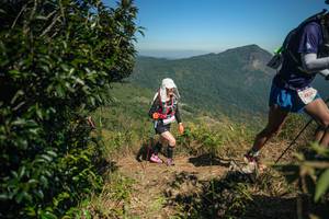 BIB: 
                            <button type="button" onclick="openModal(26595246)" class="btn btn-primary btn-sm float-right btn-popup" data-toggle="modal" data-target=".modal-high-quality">
                        <i class="fas fa-shopping-cart"></i> Add to Cart
                    </button>
                                            <button type="button" onclick="isThisMe(26595246, true)" class="btn btn-success btn-sm float-right btn-popup btn-isme hidden" data-toggle="tooltip" data-placement="bottom" title="นี่คือรูปของคุณใช่ไหม คลิกที่นี่เพื่อเอาเข้าอัลบั้ม">
                        <i class="fas fa-plus"></i> Add to album
                    </button>
                    <button type="button" onclick="isThisMe(26595246, false)" class="btn btn-warning btn-sm float-right btn-popup btn-isnotme hidden">
                        <i class="fas fa-ban"></i> Remove from album
                    </button>