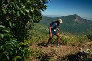 BIB: 
                            <button type="button" onclick="openModal(26593178)" class="btn btn-primary btn-sm float-right btn-popup" data-toggle="modal" data-target=".modal-high-quality">
                        <i class="fas fa-shopping-cart"></i> Add to Cart
                    </button>
                                            <button type="button" onclick="isThisMe(26593178, true)" class="btn btn-success btn-sm float-right btn-popup btn-isme hidden" data-toggle="tooltip" data-placement="bottom" title="นี่คือรูปของคุณใช่ไหม คลิกที่นี่เพื่อเอาเข้าอัลบั้ม">
                        <i class="fas fa-plus"></i> Add to album
                    </button>
                    <button type="button" onclick="isThisMe(26593178, false)" class="btn btn-warning btn-sm float-right btn-popup btn-isnotme hidden">
                        <i class="fas fa-ban"></i> Remove from album
                    </button>