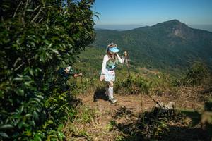 BIB: 
                            <button type="button" onclick="openModal(26595039)" class="btn btn-primary btn-sm float-right btn-popup" data-toggle="modal" data-target=".modal-high-quality">
                        <i class="fas fa-shopping-cart"></i> Add to Cart
                    </button>
                                            <button type="button" onclick="isThisMe(26595039, true)" class="btn btn-success btn-sm float-right btn-popup btn-isme hidden" data-toggle="tooltip" data-placement="bottom" title="นี่คือรูปของคุณใช่ไหม คลิกที่นี่เพื่อเอาเข้าอัลบั้ม">
                        <i class="fas fa-plus"></i> Add to album
                    </button>
                    <button type="button" onclick="isThisMe(26595039, false)" class="btn btn-warning btn-sm float-right btn-popup btn-isnotme hidden">
                        <i class="fas fa-ban"></i> Remove from album
                    </button>