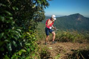 BIB: 
                            <button type="button" onclick="openModal(26592540)" class="btn btn-primary btn-sm float-right btn-popup" data-toggle="modal" data-target=".modal-high-quality">
                        <i class="fas fa-shopping-cart"></i> Add to Cart
                    </button>
                                            <button type="button" onclick="isThisMe(26592540, true)" class="btn btn-success btn-sm float-right btn-popup btn-isme hidden" data-toggle="tooltip" data-placement="bottom" title="นี่คือรูปของคุณใช่ไหม คลิกที่นี่เพื่อเอาเข้าอัลบั้ม">
                        <i class="fas fa-plus"></i> Add to album
                    </button>
                    <button type="button" onclick="isThisMe(26592540, false)" class="btn btn-warning btn-sm float-right btn-popup btn-isnotme hidden">
                        <i class="fas fa-ban"></i> Remove from album
                    </button>