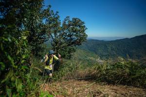 BIB: 
                            <button type="button" onclick="openModal(26589574)" class="btn btn-primary btn-sm float-right btn-popup" data-toggle="modal" data-target=".modal-high-quality">
                        <i class="fas fa-shopping-cart"></i> Add to Cart
                    </button>
                                            <button type="button" onclick="isThisMe(26589574, true)" class="btn btn-success btn-sm float-right btn-popup btn-isme hidden" data-toggle="tooltip" data-placement="bottom" title="นี่คือรูปของคุณใช่ไหม คลิกที่นี่เพื่อเอาเข้าอัลบั้ม">
                        <i class="fas fa-plus"></i> Add to album
                    </button>
                    <button type="button" onclick="isThisMe(26589574, false)" class="btn btn-warning btn-sm float-right btn-popup btn-isnotme hidden">
                        <i class="fas fa-ban"></i> Remove from album
                    </button>