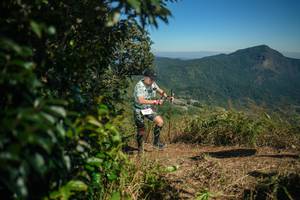 BIB: 
                            <button type="button" onclick="openModal(26592833)" class="btn btn-primary btn-sm float-right btn-popup" data-toggle="modal" data-target=".modal-high-quality">
                        <i class="fas fa-shopping-cart"></i> Add to Cart
                    </button>
                                            <button type="button" onclick="isThisMe(26592833, true)" class="btn btn-success btn-sm float-right btn-popup btn-isme hidden" data-toggle="tooltip" data-placement="bottom" title="นี่คือรูปของคุณใช่ไหม คลิกที่นี่เพื่อเอาเข้าอัลบั้ม">
                        <i class="fas fa-plus"></i> Add to album
                    </button>
                    <button type="button" onclick="isThisMe(26592833, false)" class="btn btn-warning btn-sm float-right btn-popup btn-isnotme hidden">
                        <i class="fas fa-ban"></i> Remove from album
                    </button>