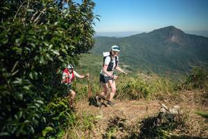 BIB: 
                            <button type="button" onclick="openModal(26594229)" class="btn btn-primary btn-sm float-right btn-popup" data-toggle="modal" data-target=".modal-high-quality">
                        <i class="fas fa-shopping-cart"></i> Add to Cart
                    </button>
                                            <button type="button" onclick="isThisMe(26594229, true)" class="btn btn-success btn-sm float-right btn-popup btn-isme hidden" data-toggle="tooltip" data-placement="bottom" title="นี่คือรูปของคุณใช่ไหม คลิกที่นี่เพื่อเอาเข้าอัลบั้ม">
                        <i class="fas fa-plus"></i> Add to album
                    </button>
                    <button type="button" onclick="isThisMe(26594229, false)" class="btn btn-warning btn-sm float-right btn-popup btn-isnotme hidden">
                        <i class="fas fa-ban"></i> Remove from album
                    </button>