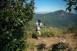 BIB: 
                            <button type="button" onclick="openModal(26594056)" class="btn btn-primary btn-sm float-right btn-popup" data-toggle="modal" data-target=".modal-high-quality">
                        <i class="fas fa-shopping-cart"></i> Add to Cart
                    </button>
                                            <button type="button" onclick="isThisMe(26594056, true)" class="btn btn-success btn-sm float-right btn-popup btn-isme hidden" data-toggle="tooltip" data-placement="bottom" title="นี่คือรูปของคุณใช่ไหม คลิกที่นี่เพื่อเอาเข้าอัลบั้ม">
                        <i class="fas fa-plus"></i> Add to album
                    </button>
                    <button type="button" onclick="isThisMe(26594056, false)" class="btn btn-warning btn-sm float-right btn-popup btn-isnotme hidden">
                        <i class="fas fa-ban"></i> Remove from album
                    </button>