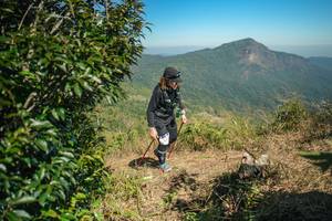 BIB: 
                            <button type="button" onclick="openModal(26594720)" class="btn btn-primary btn-sm float-right btn-popup" data-toggle="modal" data-target=".modal-high-quality">
                        <i class="fas fa-shopping-cart"></i> Add to Cart
                    </button>
                                            <button type="button" onclick="isThisMe(26594720, true)" class="btn btn-success btn-sm float-right btn-popup btn-isme hidden" data-toggle="tooltip" data-placement="bottom" title="นี่คือรูปของคุณใช่ไหม คลิกที่นี่เพื่อเอาเข้าอัลบั้ม">
                        <i class="fas fa-plus"></i> Add to album
                    </button>
                    <button type="button" onclick="isThisMe(26594720, false)" class="btn btn-warning btn-sm float-right btn-popup btn-isnotme hidden">
                        <i class="fas fa-ban"></i> Remove from album
                    </button>