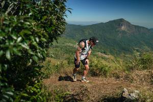 BIB: 
                            <button type="button" onclick="openModal(26593262)" class="btn btn-primary btn-sm float-right btn-popup" data-toggle="modal" data-target=".modal-high-quality">
                        <i class="fas fa-shopping-cart"></i> Add to Cart
                    </button>
                                            <button type="button" onclick="isThisMe(26593262, true)" class="btn btn-success btn-sm float-right btn-popup btn-isme hidden" data-toggle="tooltip" data-placement="bottom" title="นี่คือรูปของคุณใช่ไหม คลิกที่นี่เพื่อเอาเข้าอัลบั้ม">
                        <i class="fas fa-plus"></i> Add to album
                    </button>
                    <button type="button" onclick="isThisMe(26593262, false)" class="btn btn-warning btn-sm float-right btn-popup btn-isnotme hidden">
                        <i class="fas fa-ban"></i> Remove from album
                    </button>