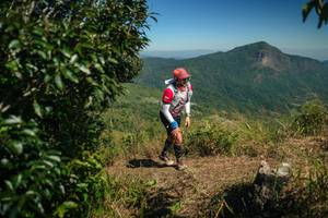 BIB: 
                            <button type="button" onclick="openModal(26593165)" class="btn btn-primary btn-sm float-right btn-popup" data-toggle="modal" data-target=".modal-high-quality">
                        <i class="fas fa-shopping-cart"></i> Add to Cart
                    </button>
                                            <button type="button" onclick="isThisMe(26593165, true)" class="btn btn-success btn-sm float-right btn-popup btn-isme hidden" data-toggle="tooltip" data-placement="bottom" title="นี่คือรูปของคุณใช่ไหม คลิกที่นี่เพื่อเอาเข้าอัลบั้ม">
                        <i class="fas fa-plus"></i> Add to album
                    </button>
                    <button type="button" onclick="isThisMe(26593165, false)" class="btn btn-warning btn-sm float-right btn-popup btn-isnotme hidden">
                        <i class="fas fa-ban"></i> Remove from album
                    </button>