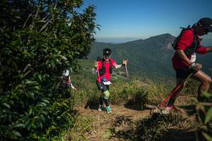 BIB: 
                            <button type="button" onclick="openModal(26595116)" class="btn btn-primary btn-sm float-right btn-popup" data-toggle="modal" data-target=".modal-high-quality">
                        <i class="fas fa-shopping-cart"></i> Add to Cart
                    </button>
                                            <button type="button" onclick="isThisMe(26595116, true)" class="btn btn-success btn-sm float-right btn-popup btn-isme hidden" data-toggle="tooltip" data-placement="bottom" title="นี่คือรูปของคุณใช่ไหม คลิกที่นี่เพื่อเอาเข้าอัลบั้ม">
                        <i class="fas fa-plus"></i> Add to album
                    </button>
                    <button type="button" onclick="isThisMe(26595116, false)" class="btn btn-warning btn-sm float-right btn-popup btn-isnotme hidden">
                        <i class="fas fa-ban"></i> Remove from album
                    </button>