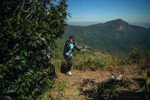 BIB: 
                            <button type="button" onclick="openModal(26595166)" class="btn btn-primary btn-sm float-right btn-popup" data-toggle="modal" data-target=".modal-high-quality">
                        <i class="fas fa-shopping-cart"></i> Add to Cart
                    </button>
                                            <button type="button" onclick="isThisMe(26595166, true)" class="btn btn-success btn-sm float-right btn-popup btn-isme hidden" data-toggle="tooltip" data-placement="bottom" title="นี่คือรูปของคุณใช่ไหม คลิกที่นี่เพื่อเอาเข้าอัลบั้ม">
                        <i class="fas fa-plus"></i> Add to album
                    </button>
                    <button type="button" onclick="isThisMe(26595166, false)" class="btn btn-warning btn-sm float-right btn-popup btn-isnotme hidden">
                        <i class="fas fa-ban"></i> Remove from album
                    </button>