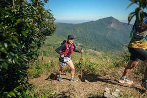 BIB: 
                            <button type="button" onclick="openModal(26593566)" class="btn btn-primary btn-sm float-right btn-popup" data-toggle="modal" data-target=".modal-high-quality">
                        <i class="fas fa-shopping-cart"></i> Add to Cart
                    </button>
                                            <button type="button" onclick="isThisMe(26593566, true)" class="btn btn-success btn-sm float-right btn-popup btn-isme hidden" data-toggle="tooltip" data-placement="bottom" title="นี่คือรูปของคุณใช่ไหม คลิกที่นี่เพื่อเอาเข้าอัลบั้ม">
                        <i class="fas fa-plus"></i> Add to album
                    </button>
                    <button type="button" onclick="isThisMe(26593566, false)" class="btn btn-warning btn-sm float-right btn-popup btn-isnotme hidden">
                        <i class="fas fa-ban"></i> Remove from album
                    </button>