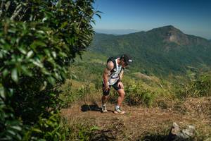 BIB: 
                            <button type="button" onclick="openModal(26593259)" class="btn btn-primary btn-sm float-right btn-popup" data-toggle="modal" data-target=".modal-high-quality">
                        <i class="fas fa-shopping-cart"></i> Add to Cart
                    </button>
                                            <button type="button" onclick="isThisMe(26593259, true)" class="btn btn-success btn-sm float-right btn-popup btn-isme hidden" data-toggle="tooltip" data-placement="bottom" title="นี่คือรูปของคุณใช่ไหม คลิกที่นี่เพื่อเอาเข้าอัลบั้ม">
                        <i class="fas fa-plus"></i> Add to album
                    </button>
                    <button type="button" onclick="isThisMe(26593259, false)" class="btn btn-warning btn-sm float-right btn-popup btn-isnotme hidden">
                        <i class="fas fa-ban"></i> Remove from album
                    </button>