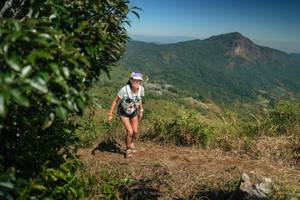 BIB: 
                            <button type="button" onclick="openModal(26593449)" class="btn btn-primary btn-sm float-right btn-popup" data-toggle="modal" data-target=".modal-high-quality">
                        <i class="fas fa-shopping-cart"></i> Add to Cart
                    </button>
                                            <button type="button" onclick="isThisMe(26593449, true)" class="btn btn-success btn-sm float-right btn-popup btn-isme hidden" data-toggle="tooltip" data-placement="bottom" title="นี่คือรูปของคุณใช่ไหม คลิกที่นี่เพื่อเอาเข้าอัลบั้ม">
                        <i class="fas fa-plus"></i> Add to album
                    </button>
                    <button type="button" onclick="isThisMe(26593449, false)" class="btn btn-warning btn-sm float-right btn-popup btn-isnotme hidden">
                        <i class="fas fa-ban"></i> Remove from album
                    </button>