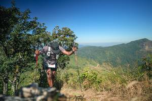 BIB: 
                            <button type="button" onclick="openModal(26597420)" class="btn btn-primary btn-sm float-right btn-popup" data-toggle="modal" data-target=".modal-high-quality">
                        <i class="fas fa-shopping-cart"></i> Add to Cart
                    </button>
                                            <button type="button" onclick="isThisMe(26597420, true)" class="btn btn-success btn-sm float-right btn-popup btn-isme hidden" data-toggle="tooltip" data-placement="bottom" title="นี่คือรูปของคุณใช่ไหม คลิกที่นี่เพื่อเอาเข้าอัลบั้ม">
                        <i class="fas fa-plus"></i> Add to album
                    </button>
                    <button type="button" onclick="isThisMe(26597420, false)" class="btn btn-warning btn-sm float-right btn-popup btn-isnotme hidden">
                        <i class="fas fa-ban"></i> Remove from album
                    </button>