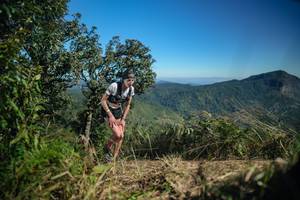 BIB: 
                            <button type="button" onclick="openModal(26589058)" class="btn btn-primary btn-sm float-right btn-popup" data-toggle="modal" data-target=".modal-high-quality">
                        <i class="fas fa-shopping-cart"></i> Add to Cart
                    </button>
                                            <button type="button" onclick="isThisMe(26589058, true)" class="btn btn-success btn-sm float-right btn-popup btn-isme hidden" data-toggle="tooltip" data-placement="bottom" title="นี่คือรูปของคุณใช่ไหม คลิกที่นี่เพื่อเอาเข้าอัลบั้ม">
                        <i class="fas fa-plus"></i> Add to album
                    </button>
                    <button type="button" onclick="isThisMe(26589058, false)" class="btn btn-warning btn-sm float-right btn-popup btn-isnotme hidden">
                        <i class="fas fa-ban"></i> Remove from album
                    </button>