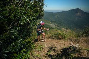 BIB: 
                            <button type="button" onclick="openModal(26594315)" class="btn btn-primary btn-sm float-right btn-popup" data-toggle="modal" data-target=".modal-high-quality">
                        <i class="fas fa-shopping-cart"></i> Add to Cart
                    </button>
                                            <button type="button" onclick="isThisMe(26594315, true)" class="btn btn-success btn-sm float-right btn-popup btn-isme hidden" data-toggle="tooltip" data-placement="bottom" title="นี่คือรูปของคุณใช่ไหม คลิกที่นี่เพื่อเอาเข้าอัลบั้ม">
                        <i class="fas fa-plus"></i> Add to album
                    </button>
                    <button type="button" onclick="isThisMe(26594315, false)" class="btn btn-warning btn-sm float-right btn-popup btn-isnotme hidden">
                        <i class="fas fa-ban"></i> Remove from album
                    </button>